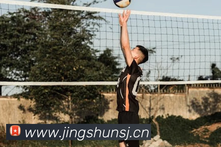 米兰体育在线登录入口平台生态图